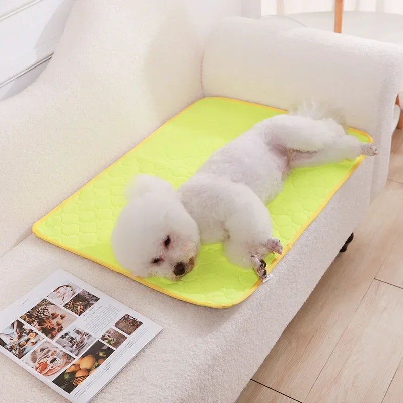 Washable Absorbent Dog Pee Pad