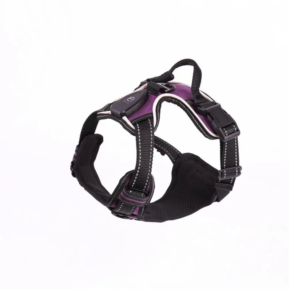 Rechargeable LED Dog Harness