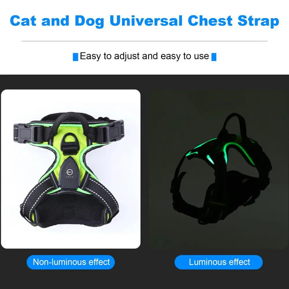 Rechargeable LED Dog Harness