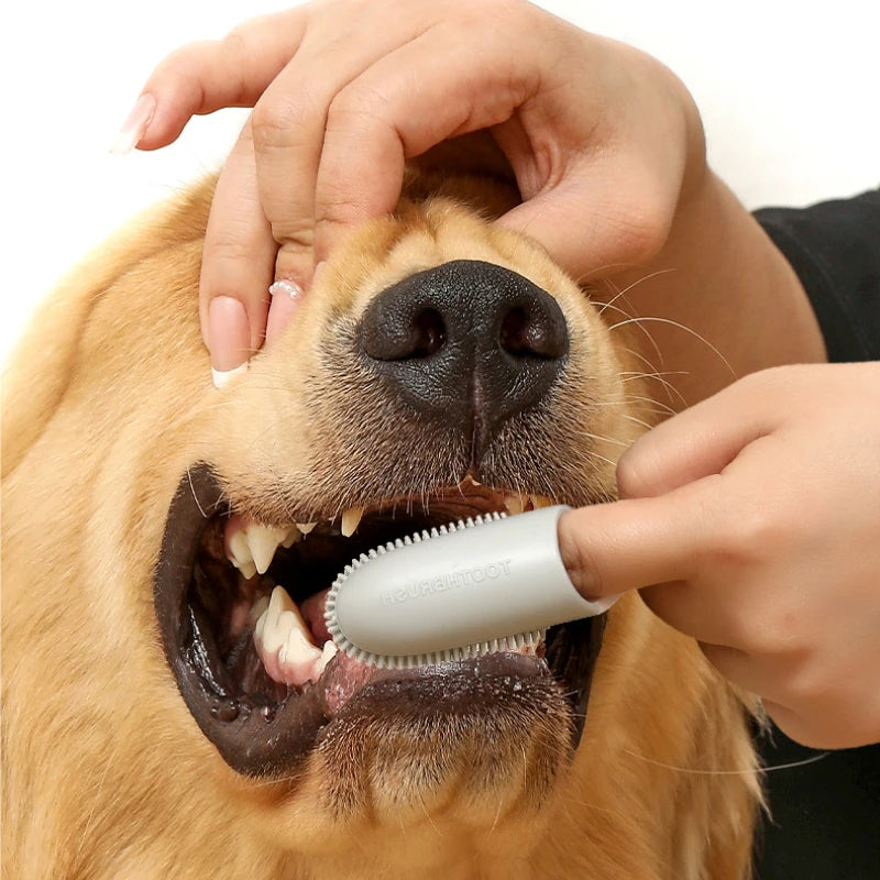 Pet Finger Toothbrush for Oral Care