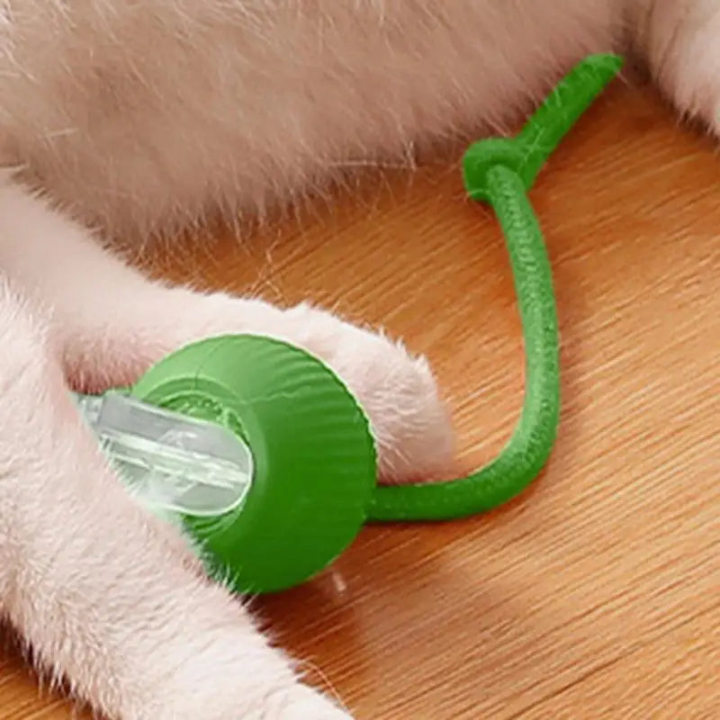 Rechargeable Cat Training Ball Toy