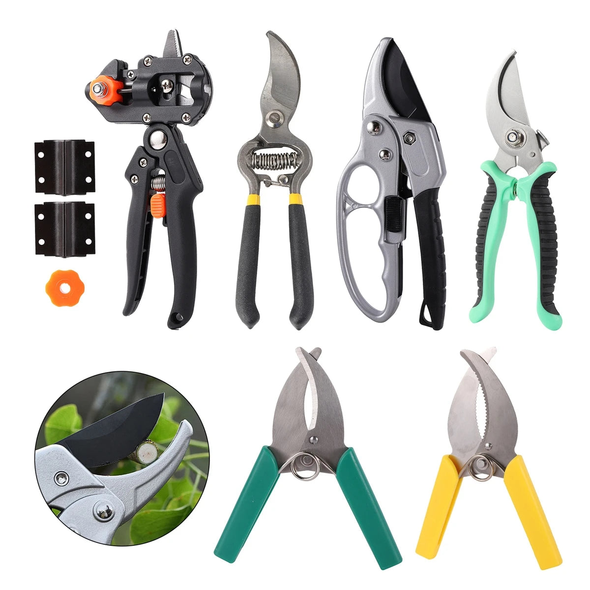 Pruning Shears - Orchard and Garden Tool