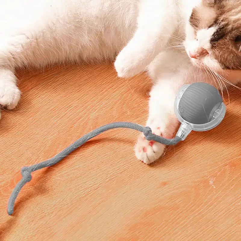 Rechargeable Cat Training Ball Toy