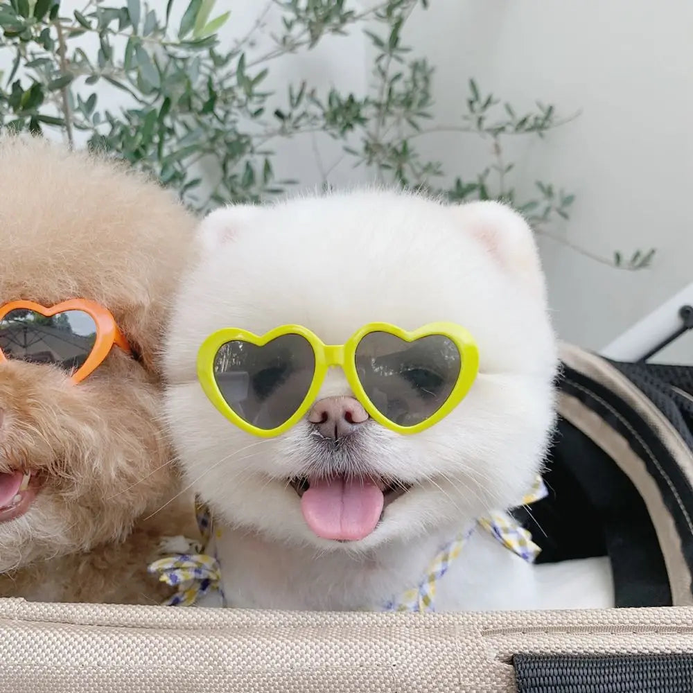 Stylish Heart Pet Glasses for Cats