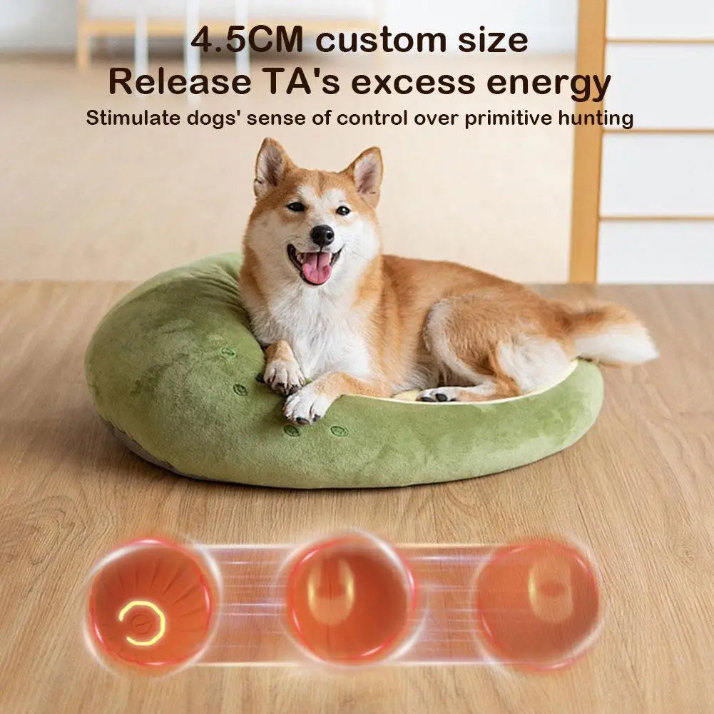 Electric Jumping Toy Ball for Pets