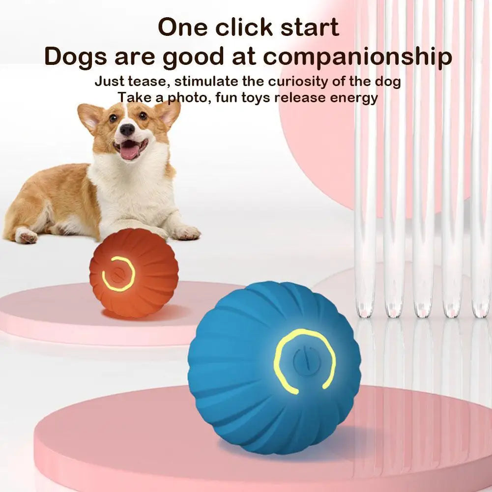 Electric Jumping Toy Ball for Pets