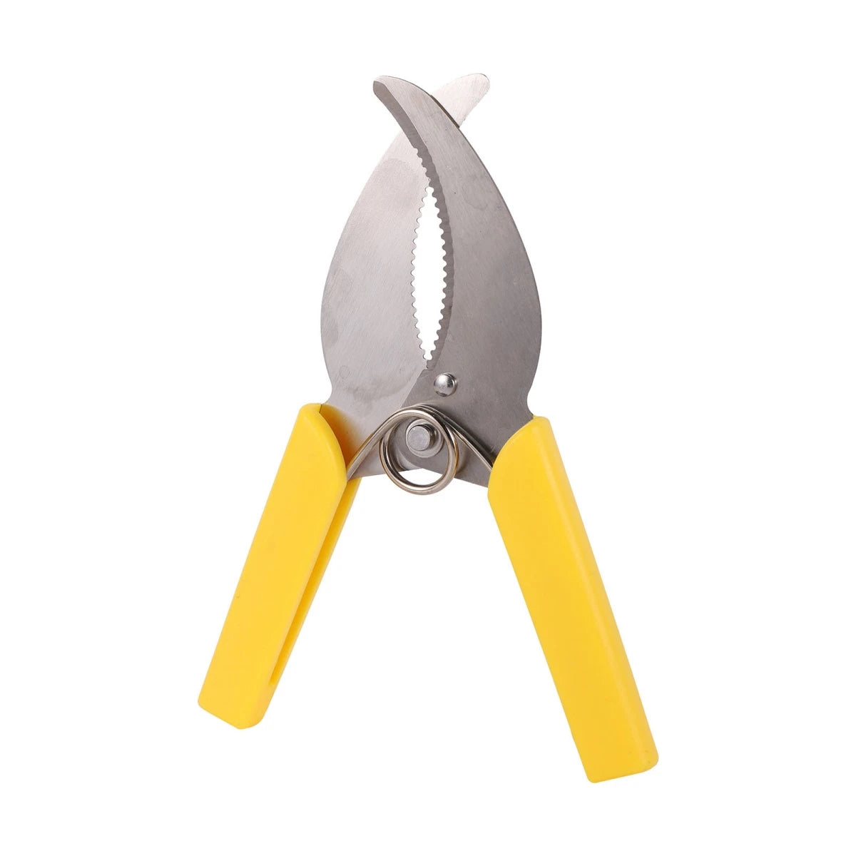 Pruning Shears - Orchard and Garden Tool