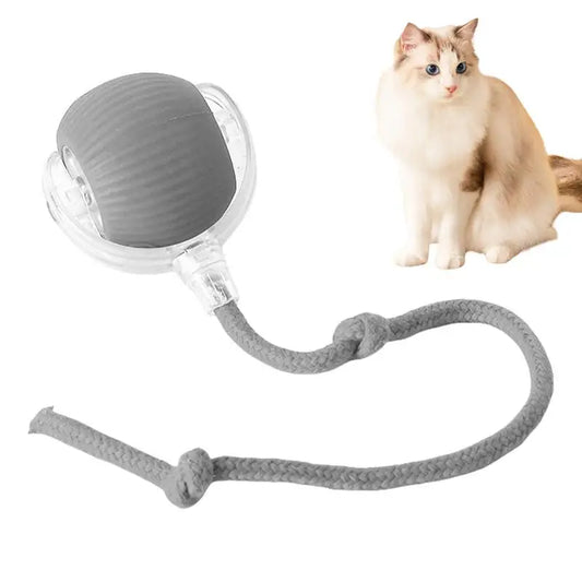 Rechargeable Cat Training Ball Toy