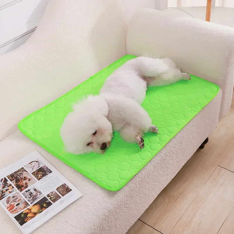 Washable Absorbent Dog Pee Pad