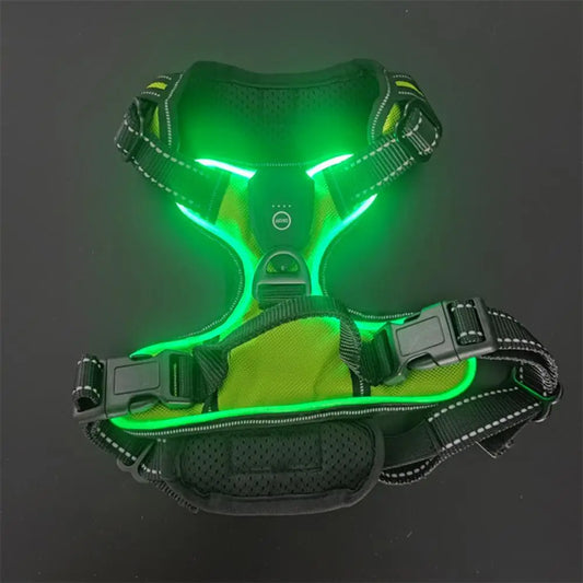 Rechargeable LED Dog Harness