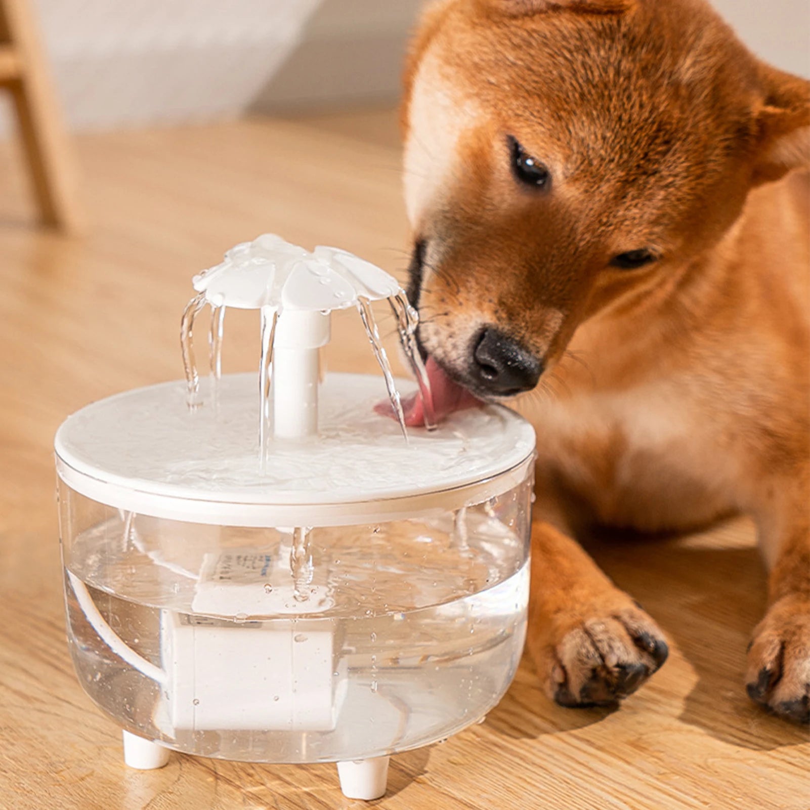 Automatic Cat Water Fountain