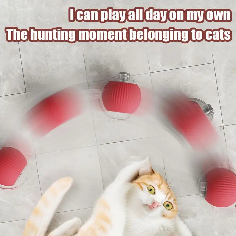 Rechargeable Cat Training Ball Toy