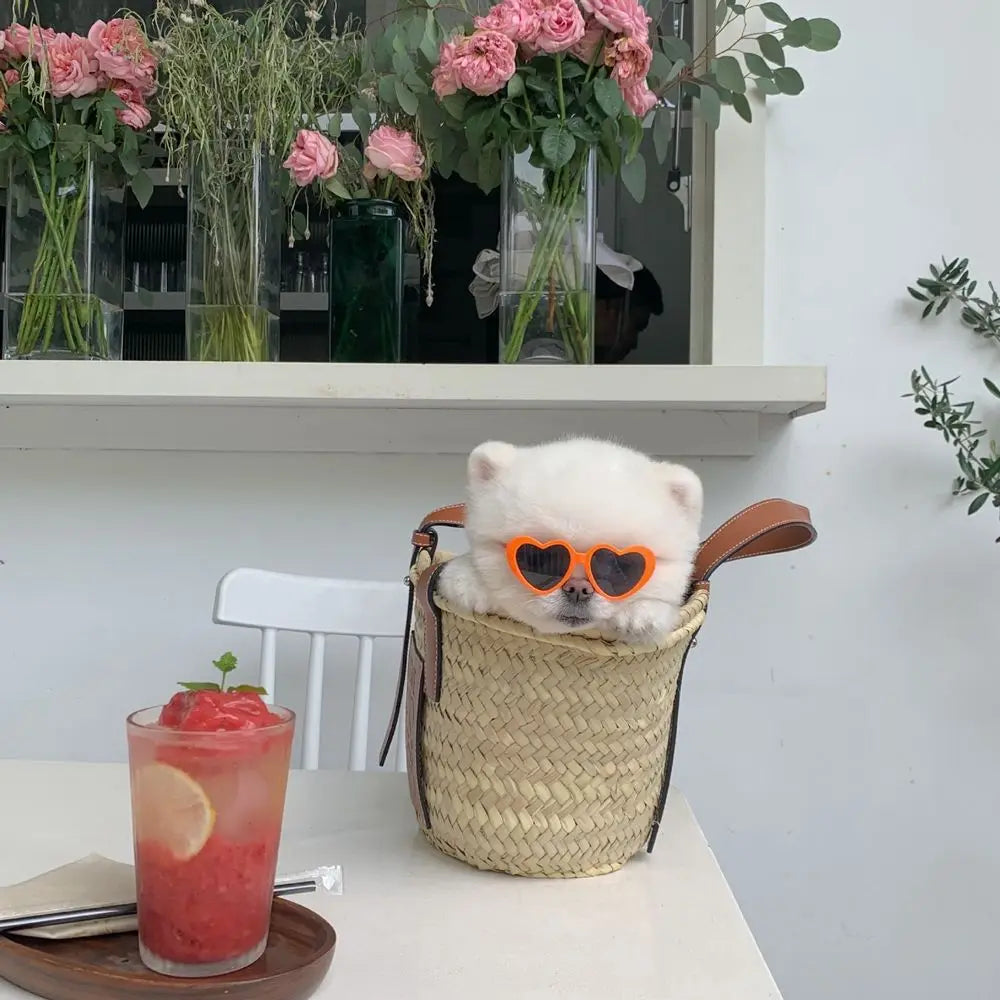 Stylish Heart Pet Glasses for Cats