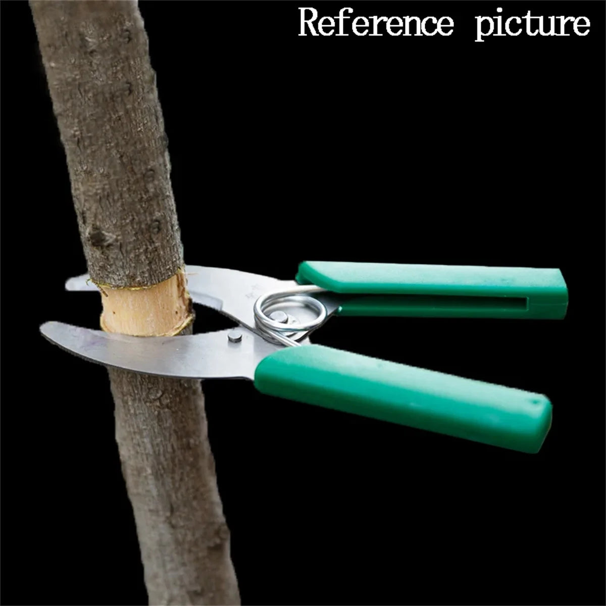 Pruning Shears - Orchard and Garden Tool