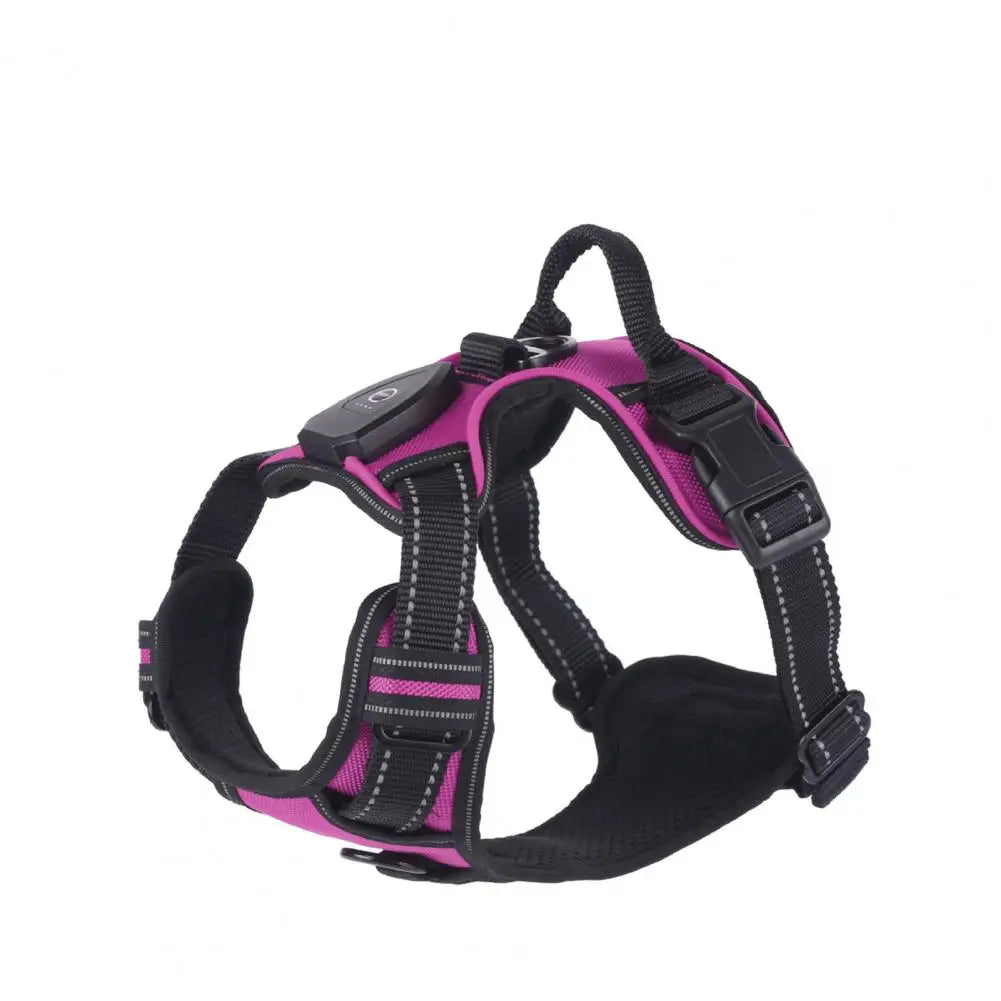 Rechargeable LED Dog Harness