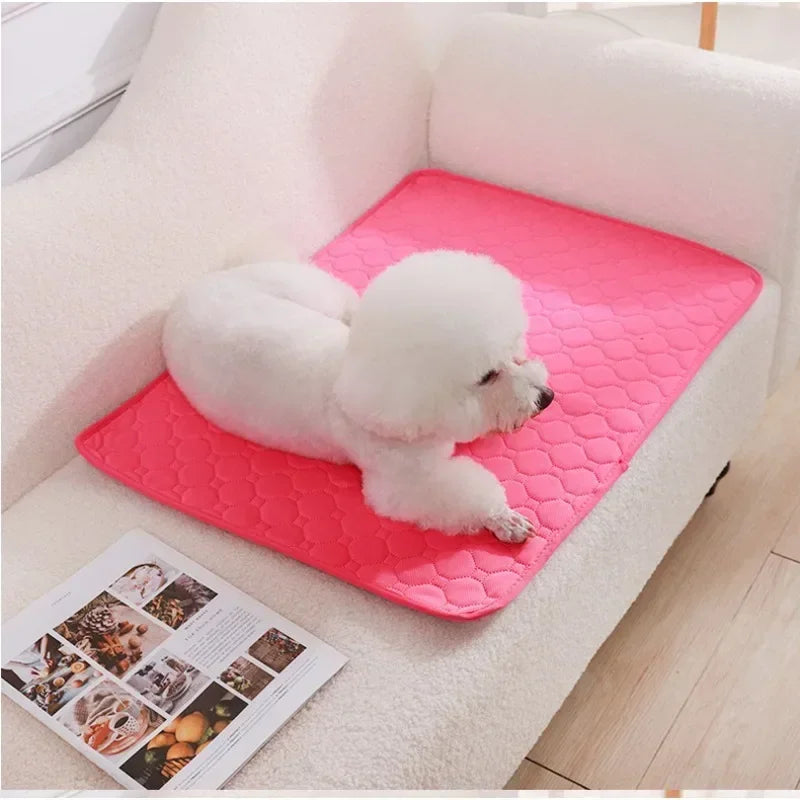 Washable Absorbent Dog Pee Pad