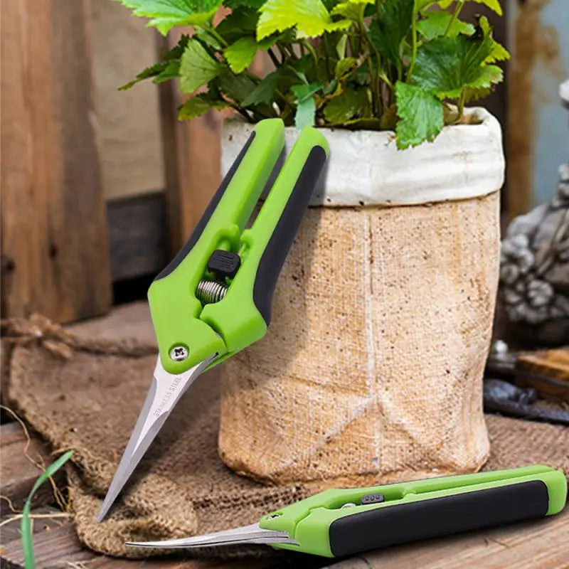 Garden Tools - Pruning Shears