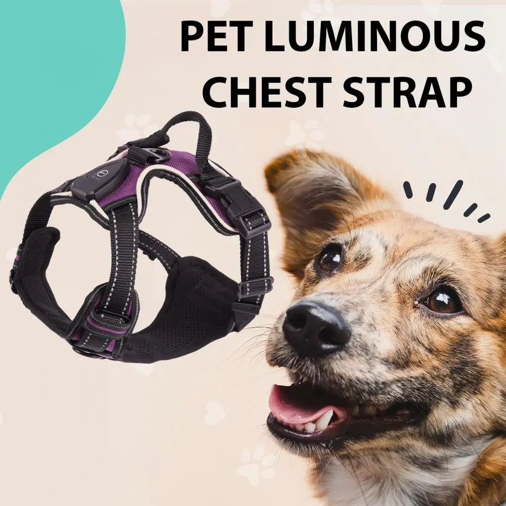 Rechargeable LED Dog Harness