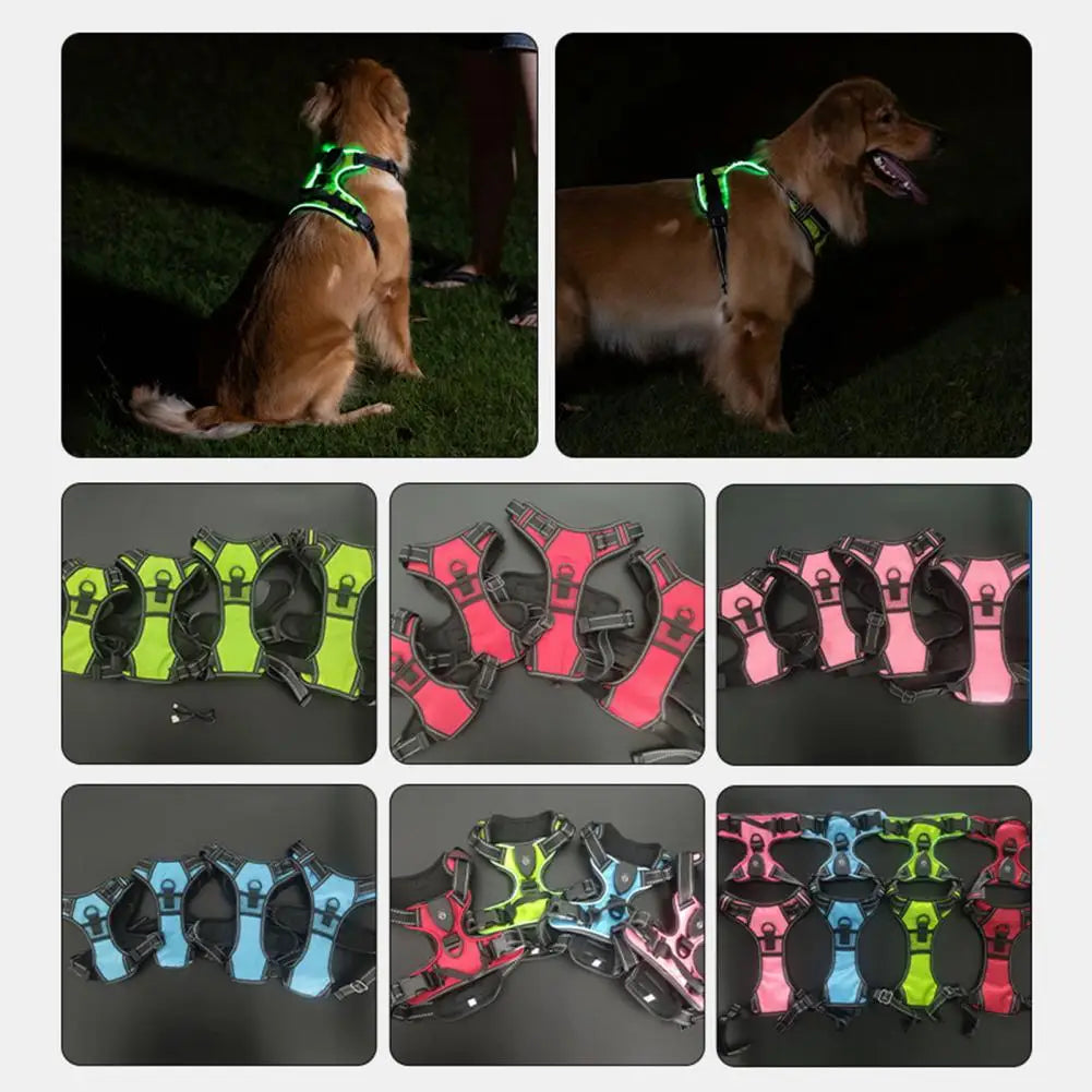 Rechargeable LED Dog Harness