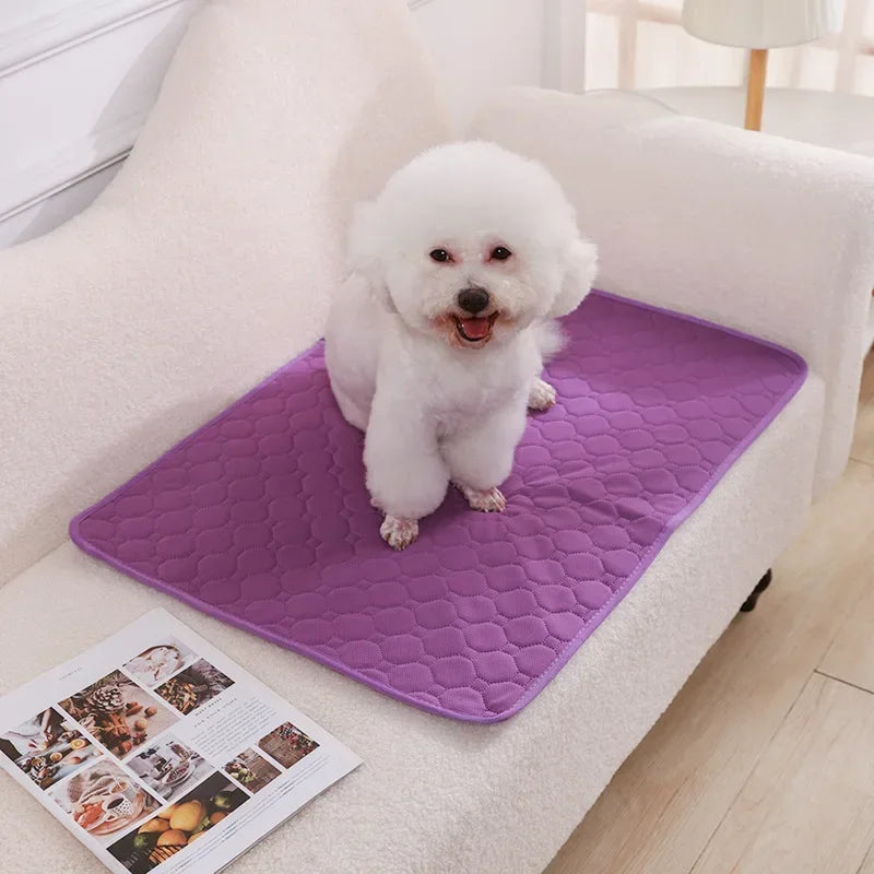 Washable Absorbent Dog Pee Pad