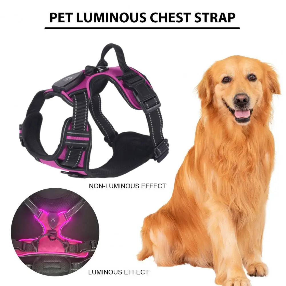 Rechargeable LED Dog Harness