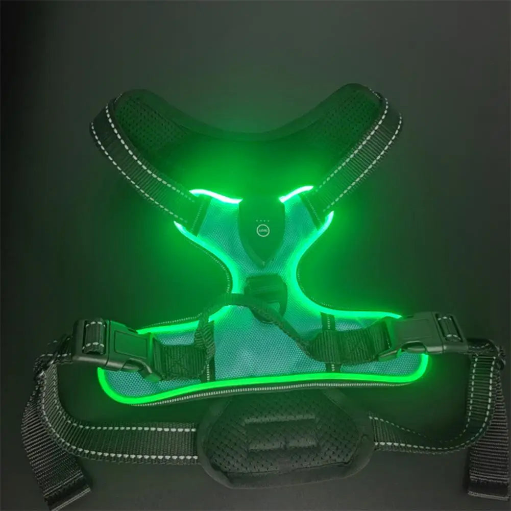 Rechargeable LED Dog Harness